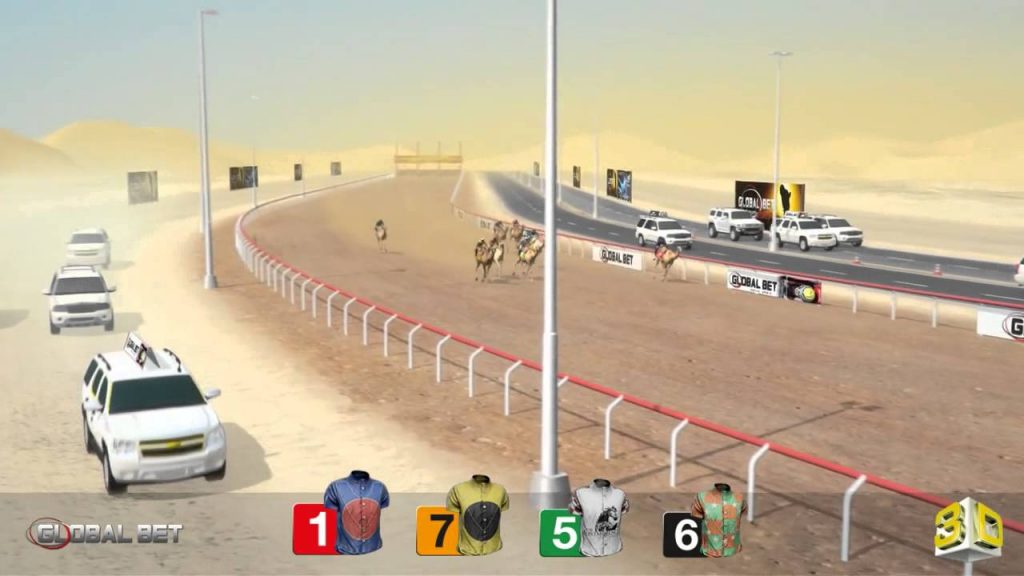 Camel Racing